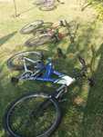 Bicicletas conjunto