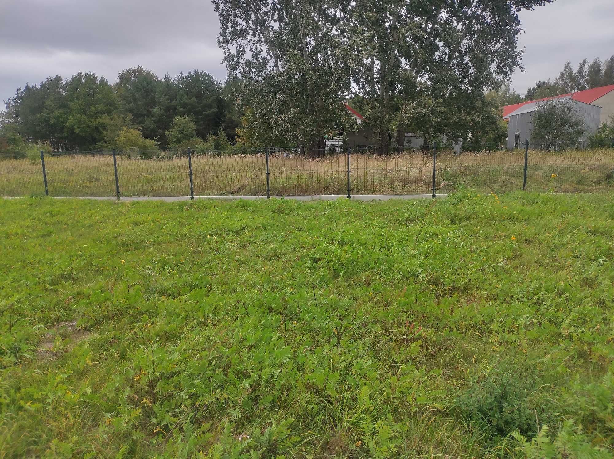 Wynajmę działkę usługową z Zajączkowe 600m2