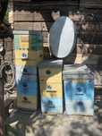Продам вулики деревʼяні