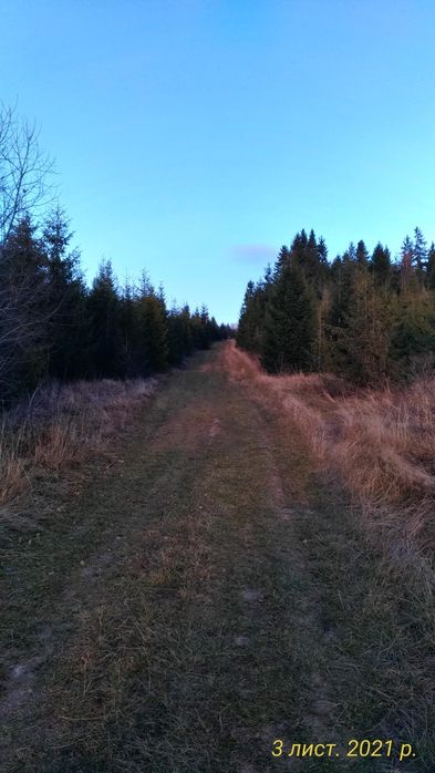 Земельна ділянка 1Га.
