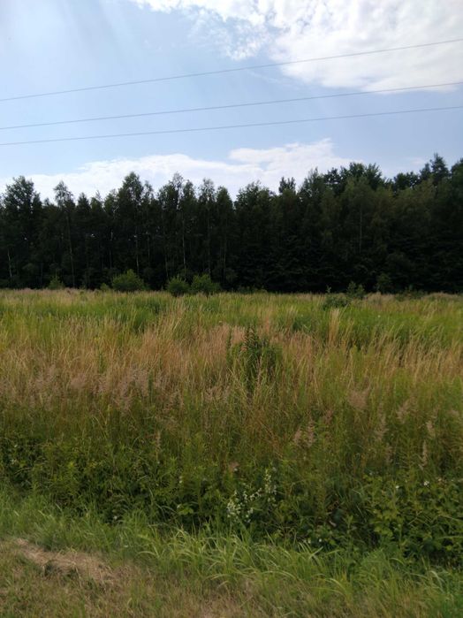 działka 47 arów z warunkami zabudowy pod lasem