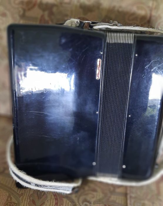 Acordeão marca Parrot