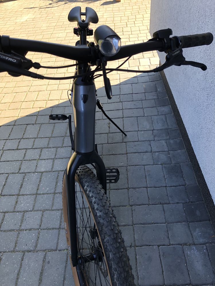 Rower elektryczny Trek Dual Sport+ 2