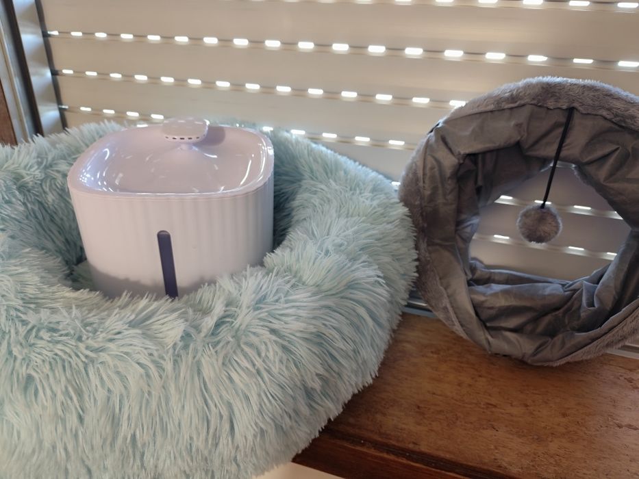 Lote para gato/ cão pequeno