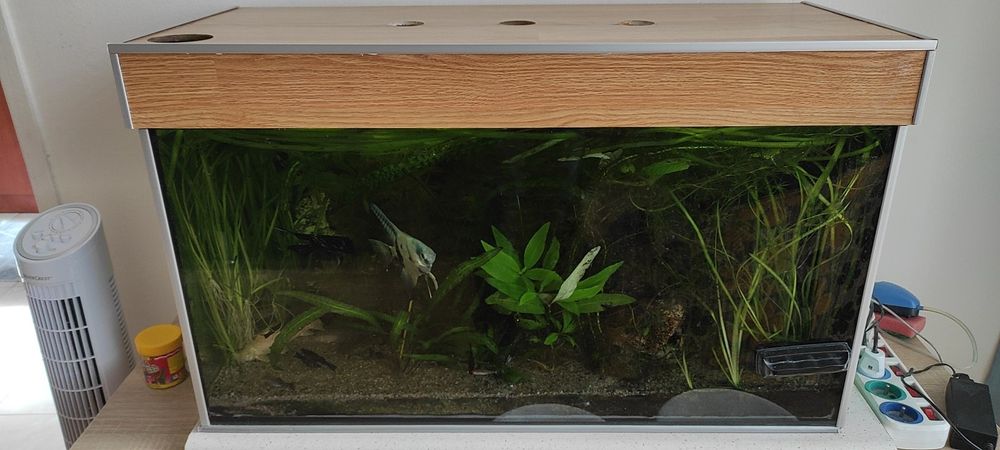 Oddam akwarium 112l czytaj opis rezerwacja