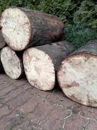 Pieńki drewniane,siedziska,drewnołupane sezonowane buk,dąb
