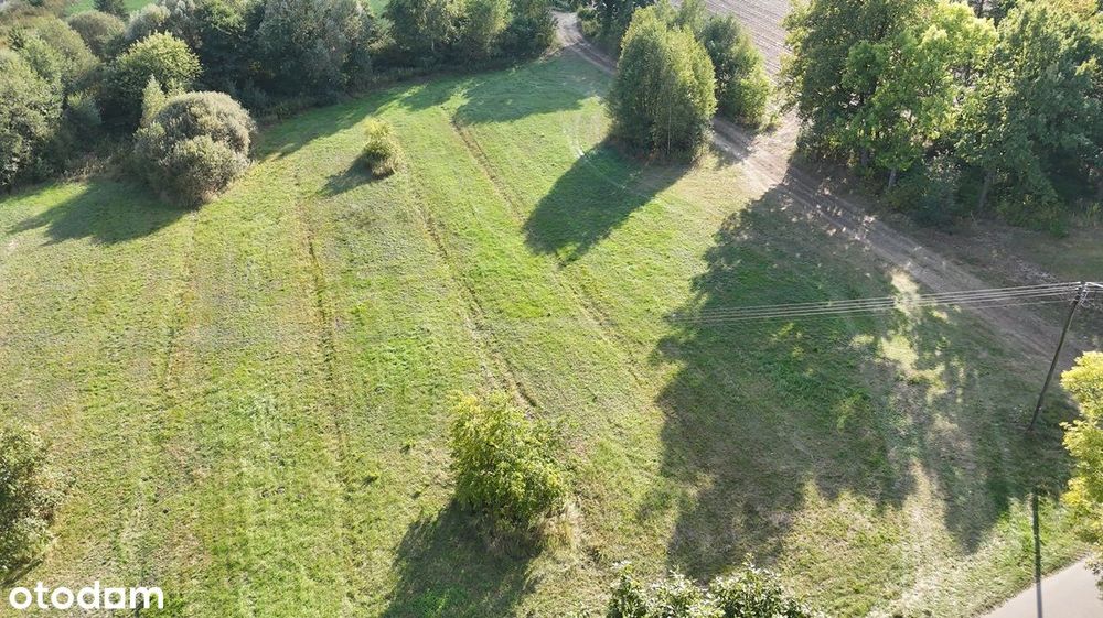 Cztery Działki Z Wydanymi WZ/ Media W Drodze/  Dojazd Drogą Asfaltową