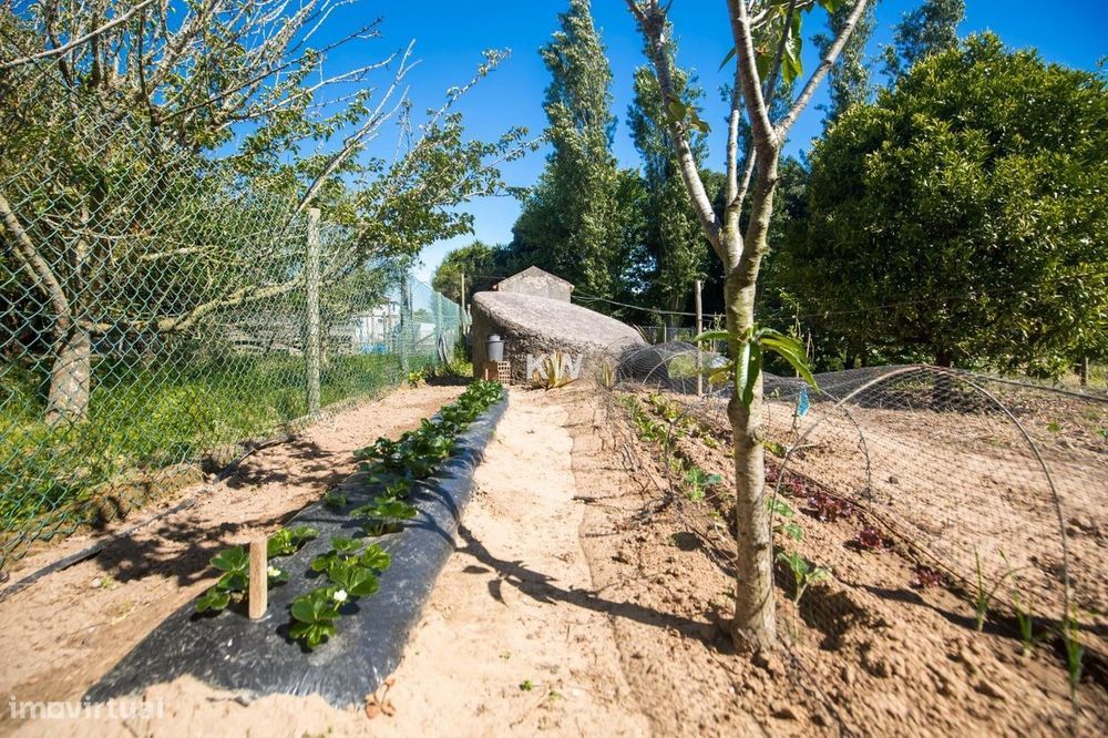 Viva entre o campo e o mar – Quinta com potencial a 15 minutos da Eric