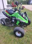 Dwa Quady Bashan 250cc
