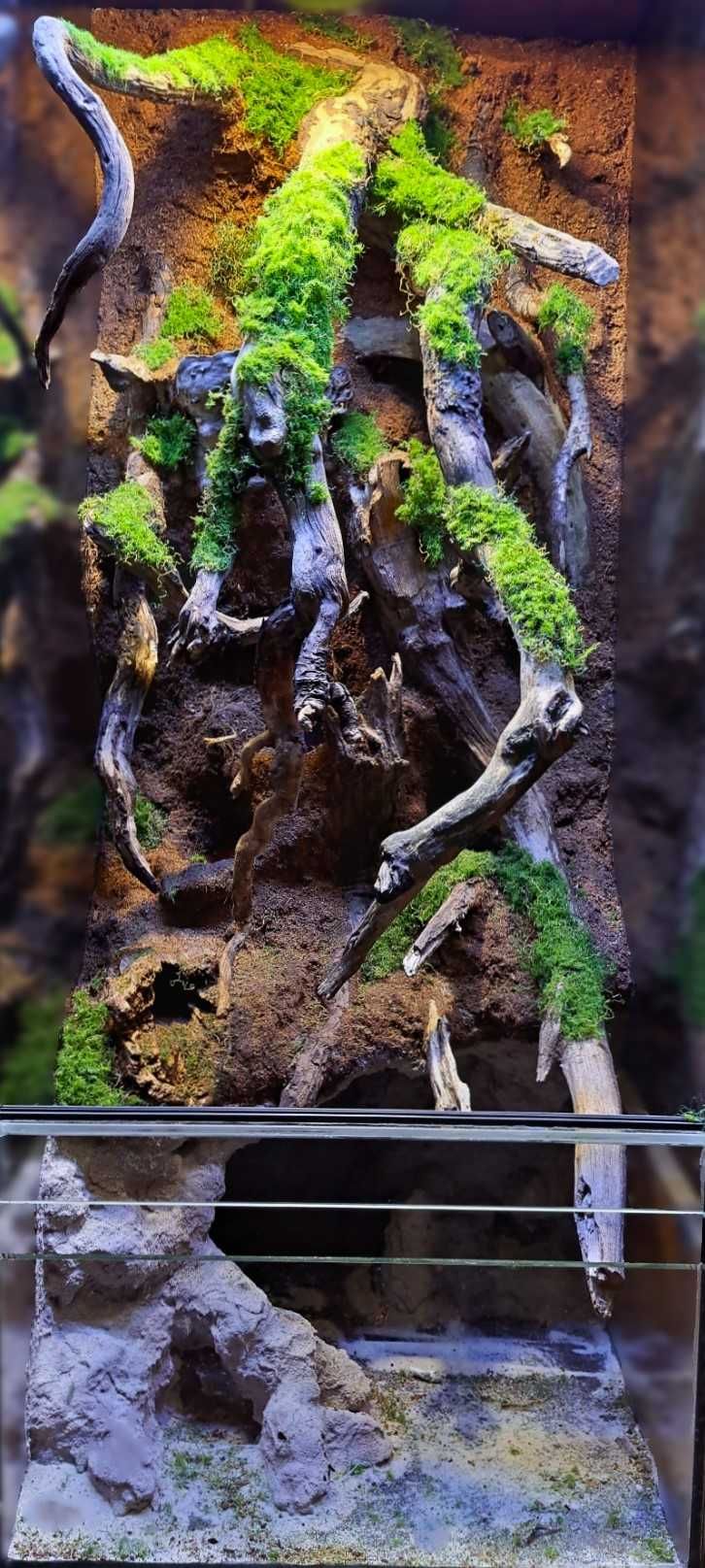 Egzotyczny Raj w Twoim Domu! Terrarium 120x50x50