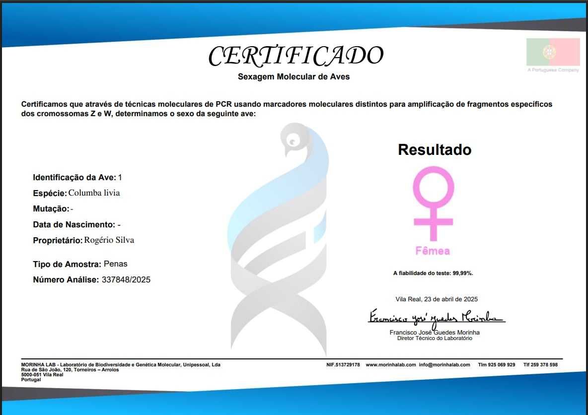 Pombos picas  sexados
