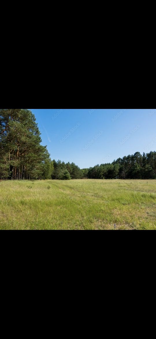 Działka Nowodworce