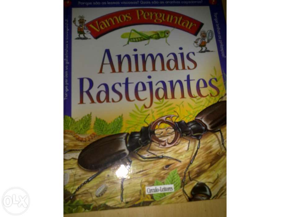 Coleção Vamos Perguntar 3 volumes