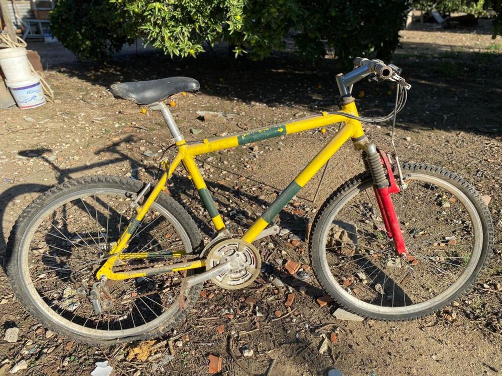 Bicicletas a precisar de uma manuntenção