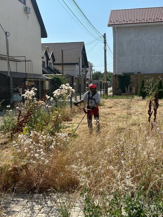 Садовник стрижка растений, приведение в порядок участка.