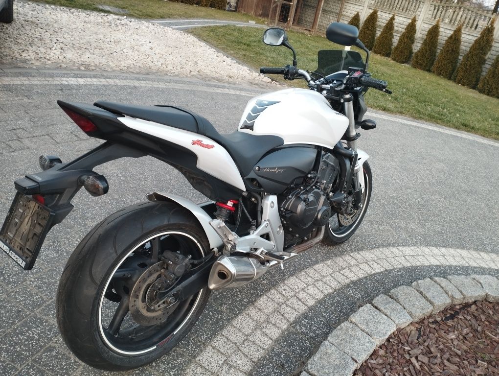Honda CB 600F Hornet pc41