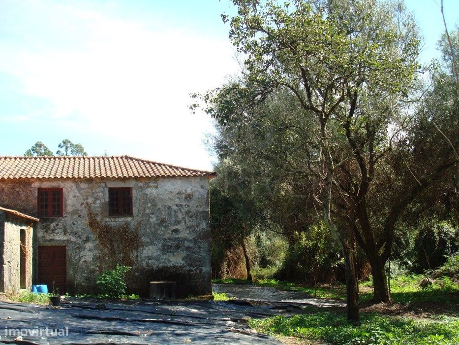 Moradia T3 + Terreno em Forjães