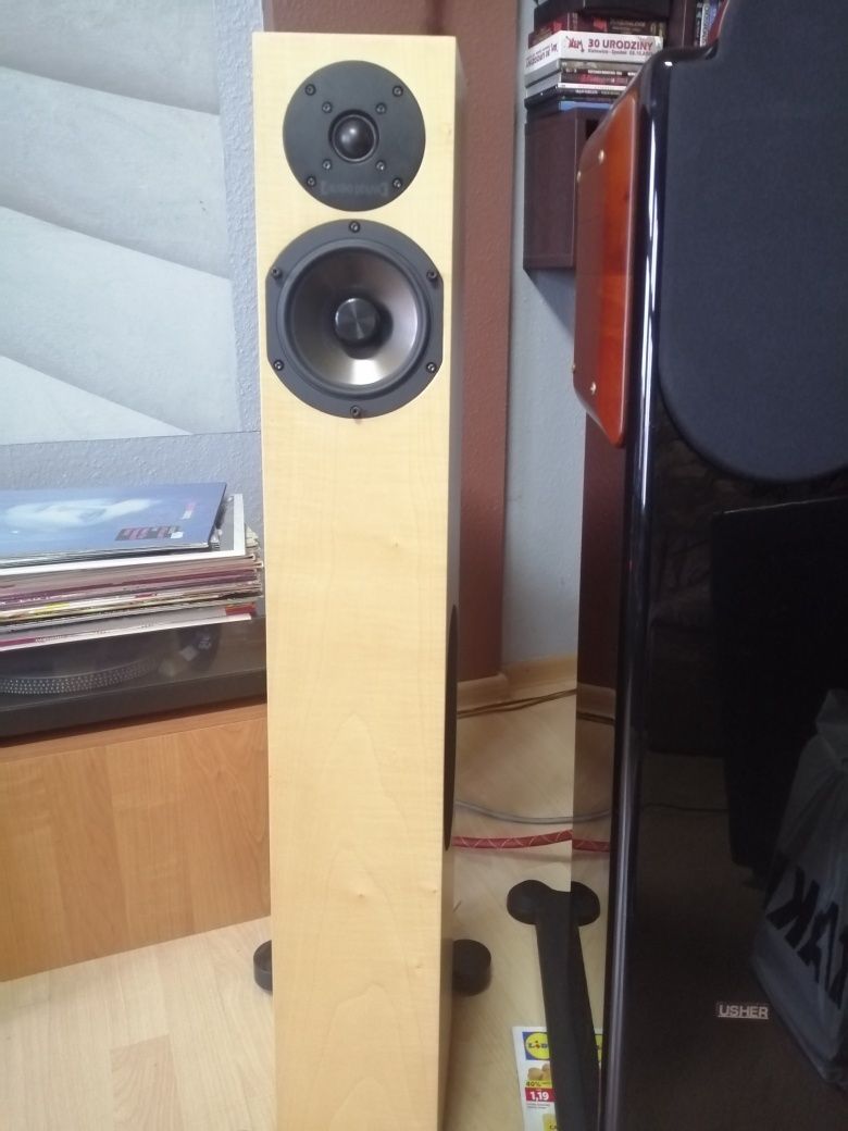 Audio Physic tempo VI