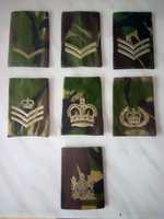 Pagony pochewki armii brytyjskiej.