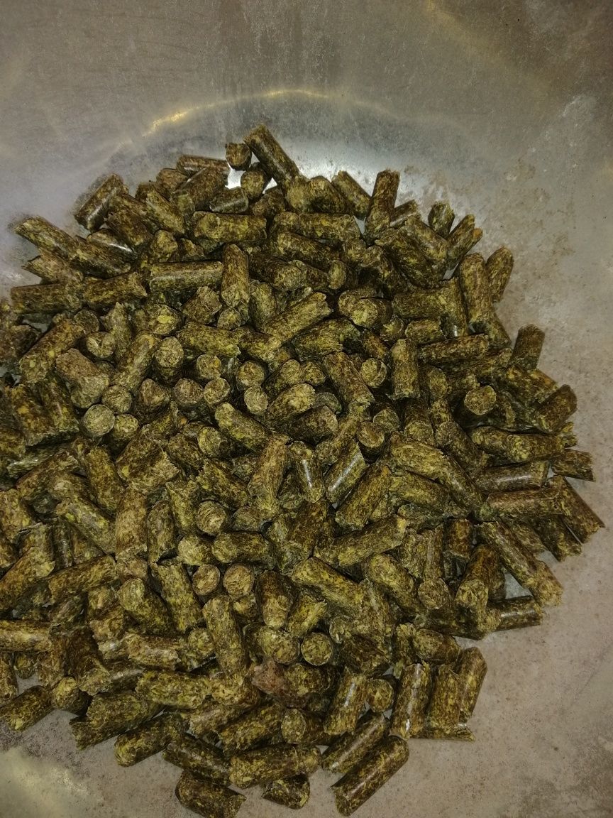 Продам Гранулу люцерны.