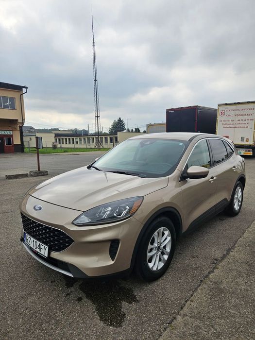 Ford Escape Ford Escape Jasne wnętrze, NISKI PRZEBIEG