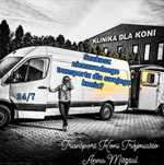 Transport koni 24/7 cała Polska