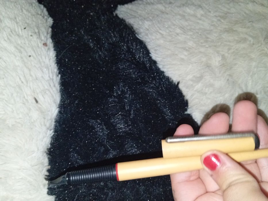 Caneta antiga sem tinta