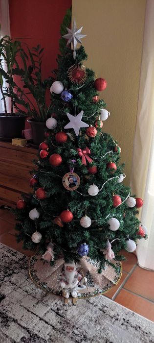 Árvore de Naral 1,80 m