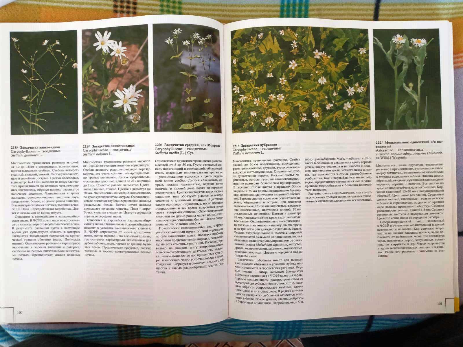 Книга "Цветовой атлас растений", Душан Рандушка,, 1990 р.