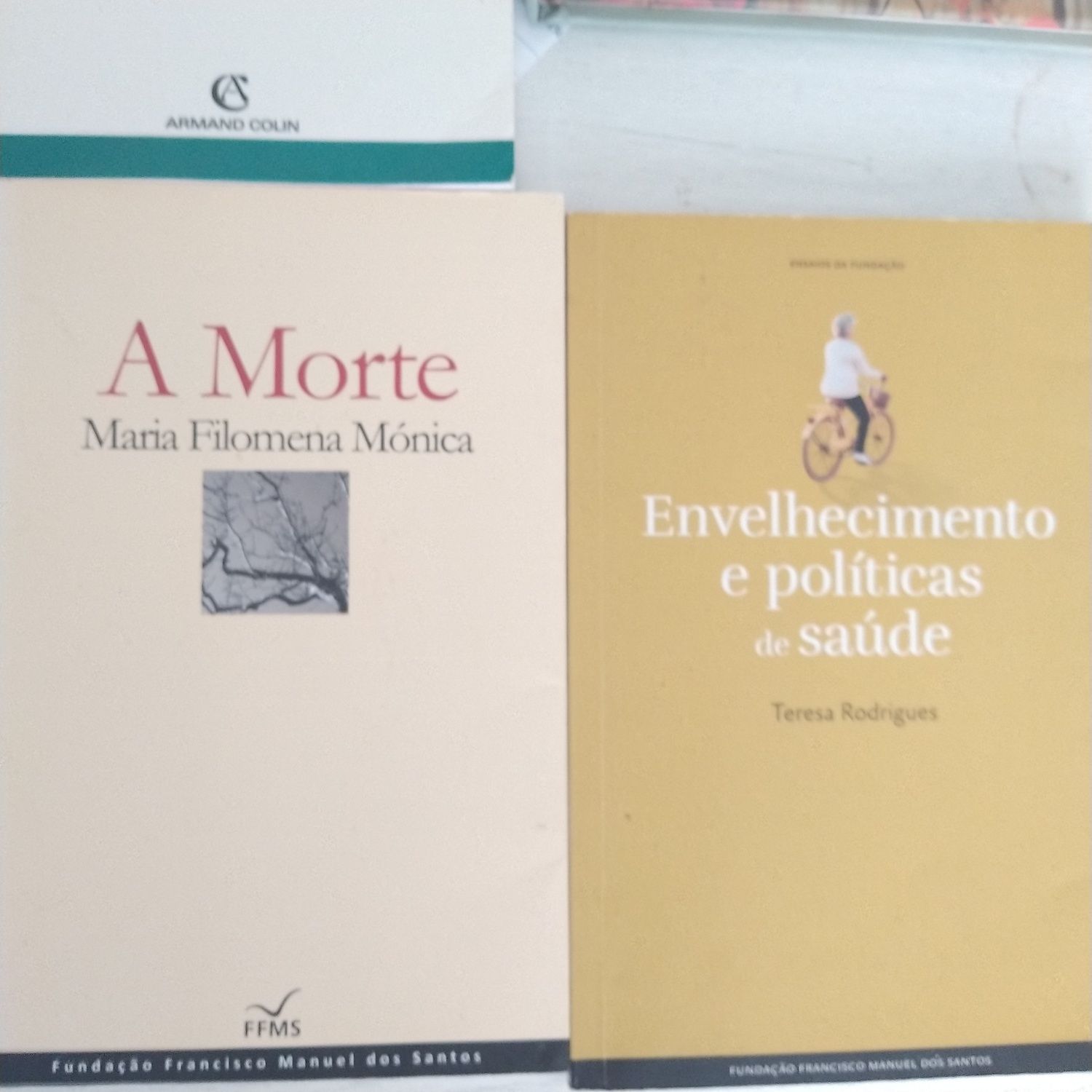 Envelhecimento e políticas de saúde, A Morte