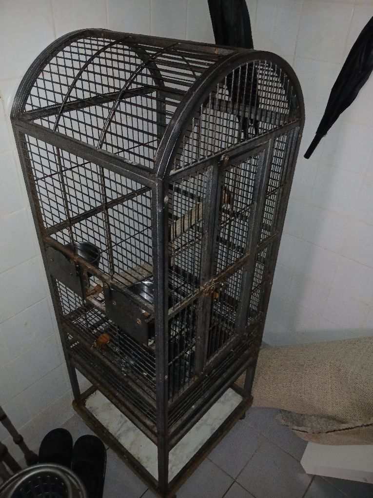 Vendo Gaiola de papagaio