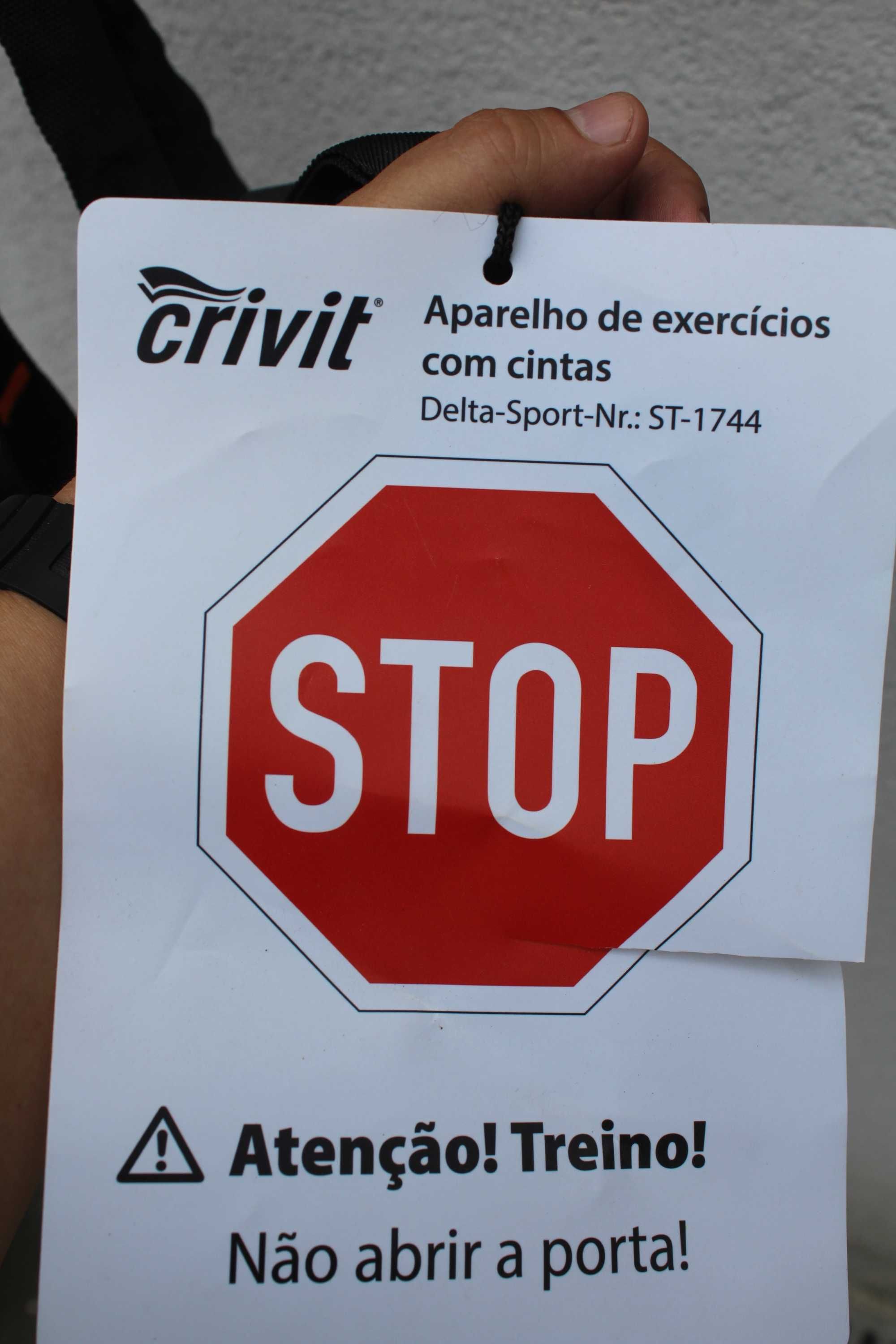 Aparelho de Exercícios com Cinta Delta-Sport ST-1744
