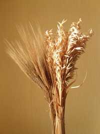 Набір "Дідух"/декор/пшениця/овес