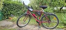 Rower crossowy  damski