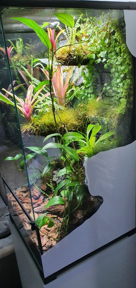 Terrarium, paludarium z wystrojem  i  szafką