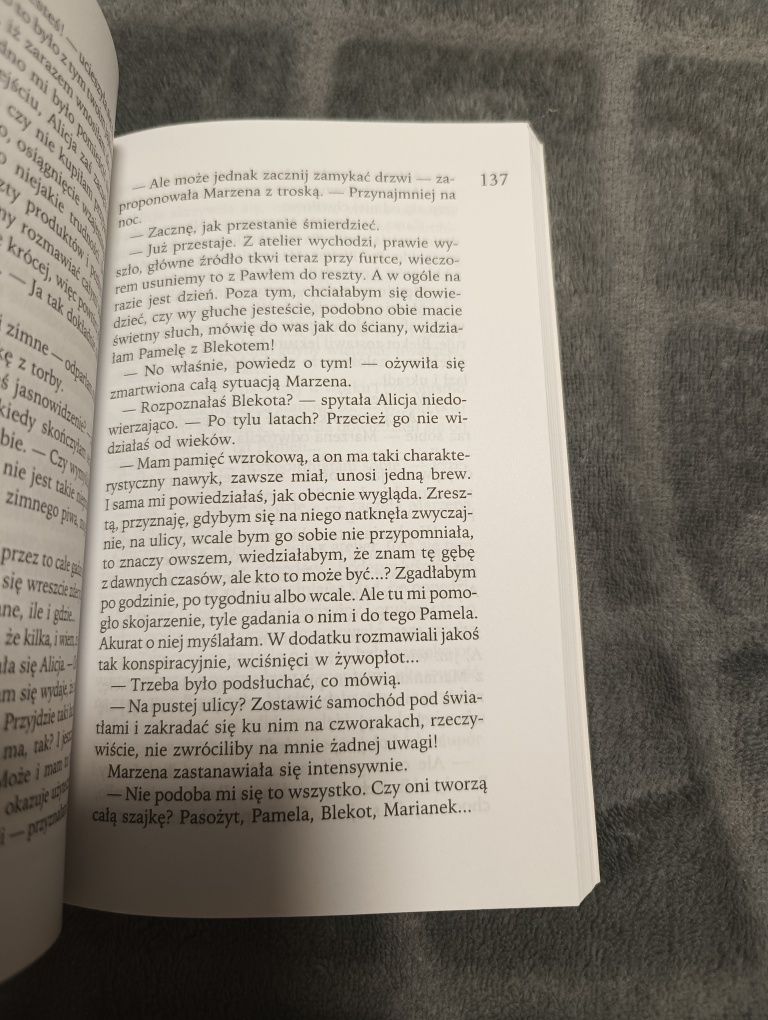 Kocie worki Joanna Chmielewska