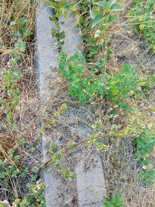 Опора стовп 9 м залізобетонні