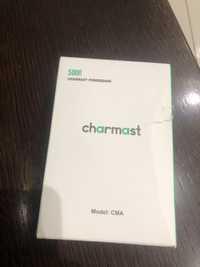 Powerbank charmast