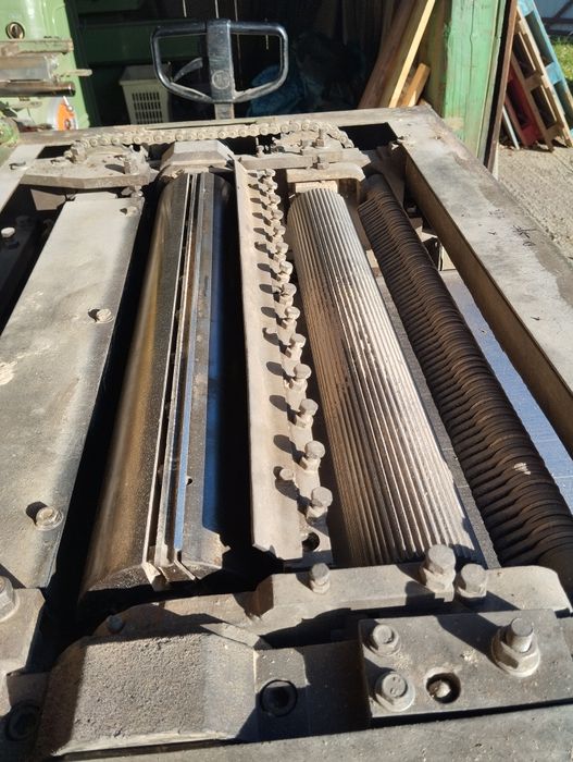 Grubościówka  Jaroma