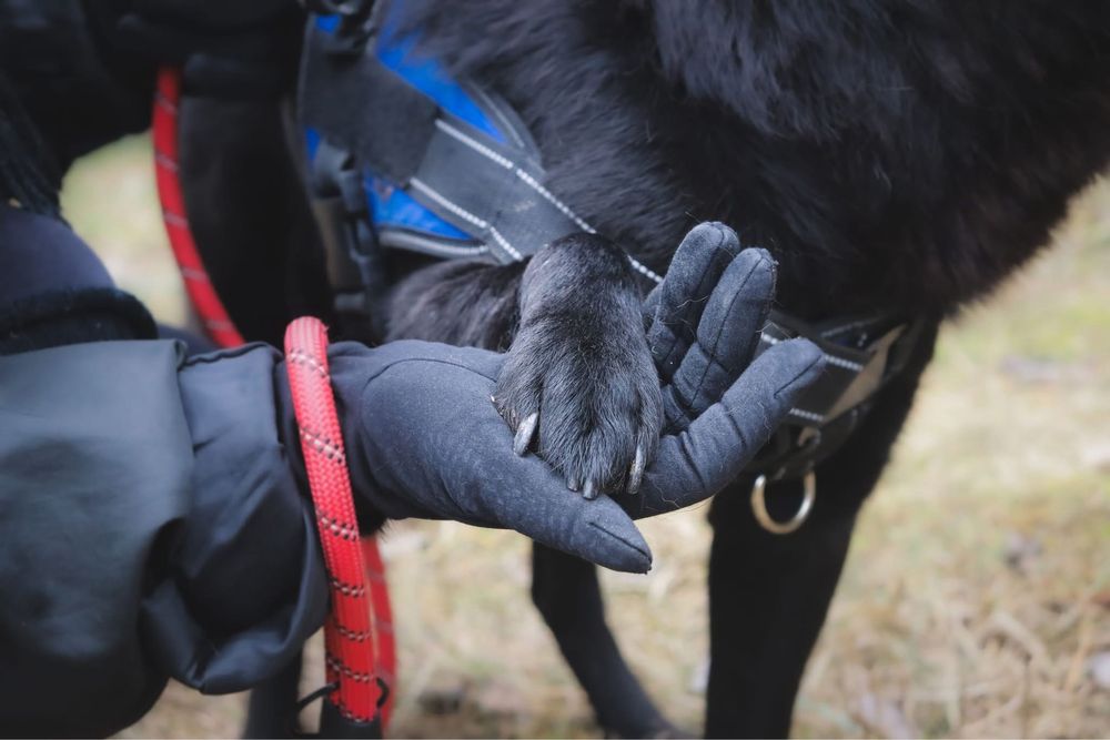 Czy moge liczyc na Twoja milosc i cieply kat? Tobi
