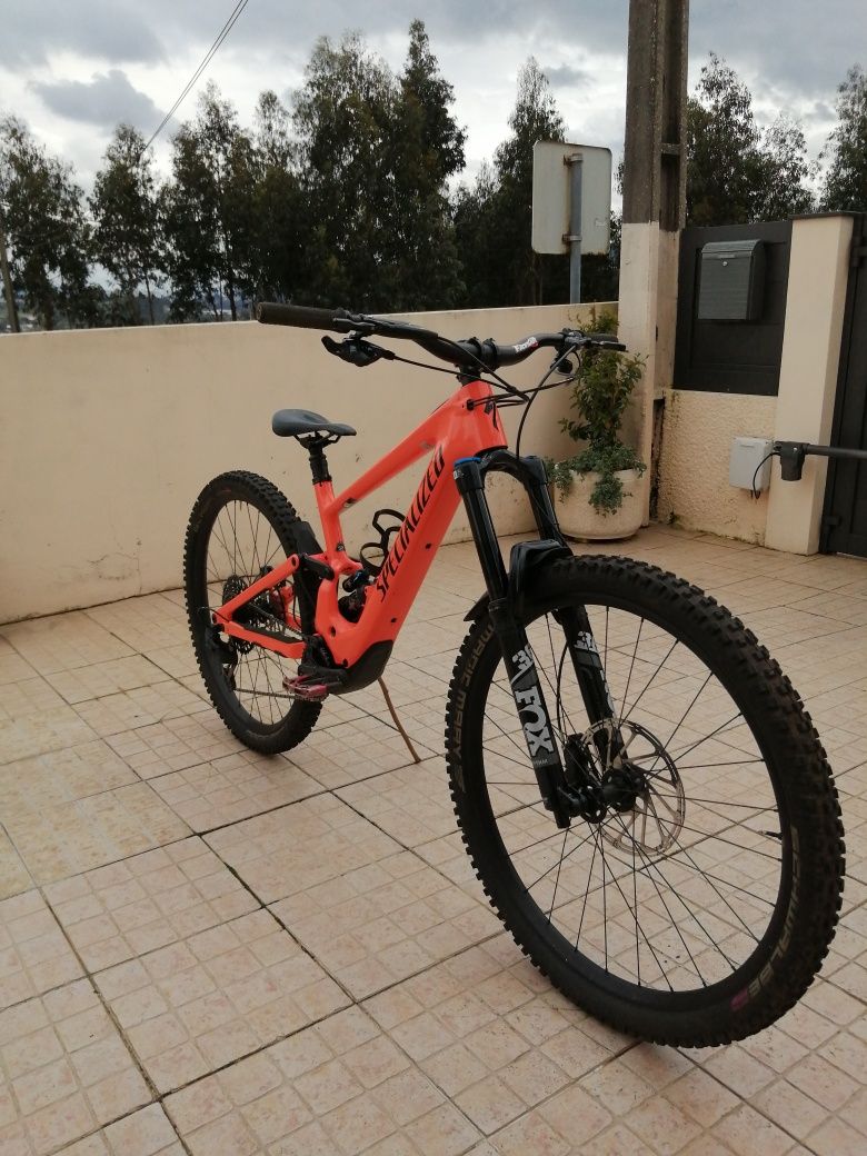 Specialized knevo sl