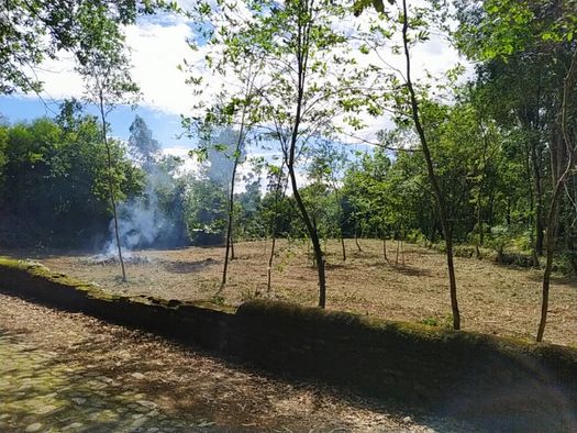 Terreno em Caminha (Viana do Castelo)