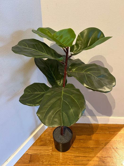 Ficus Lyrata artificial