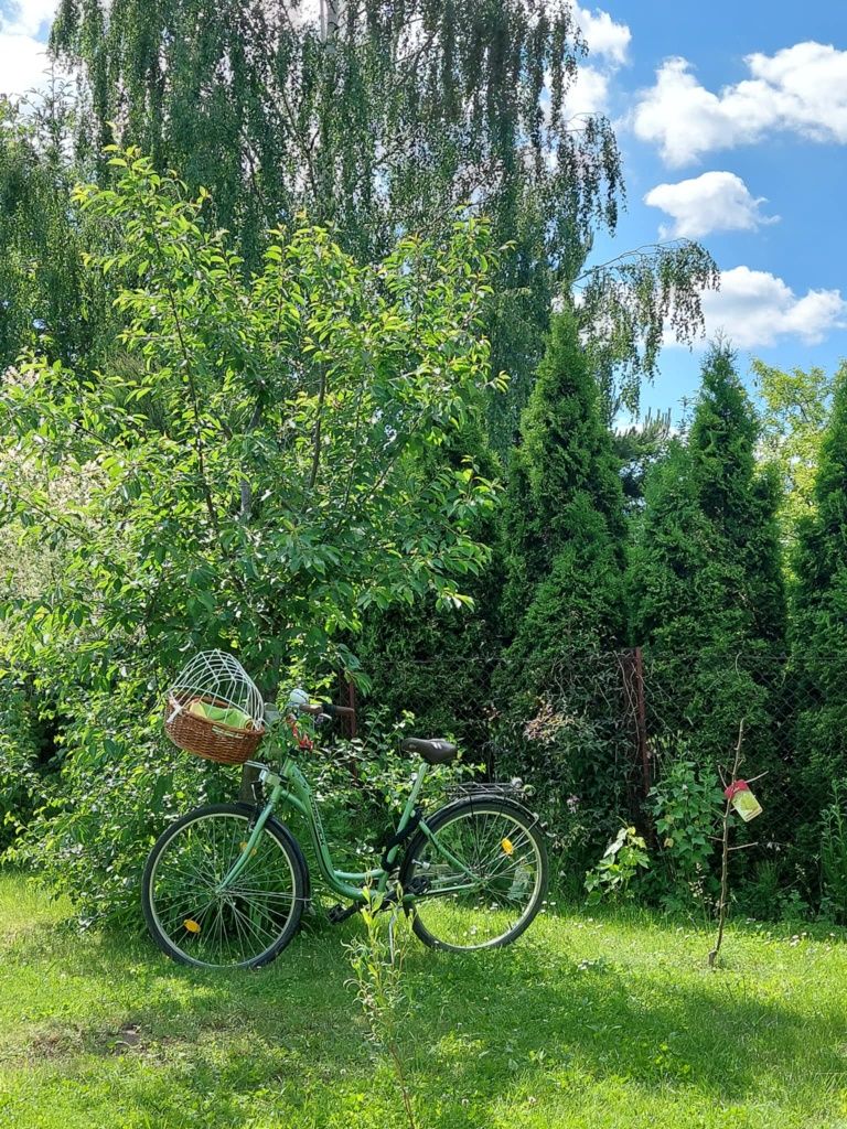 Działka ROD na Piaskach
