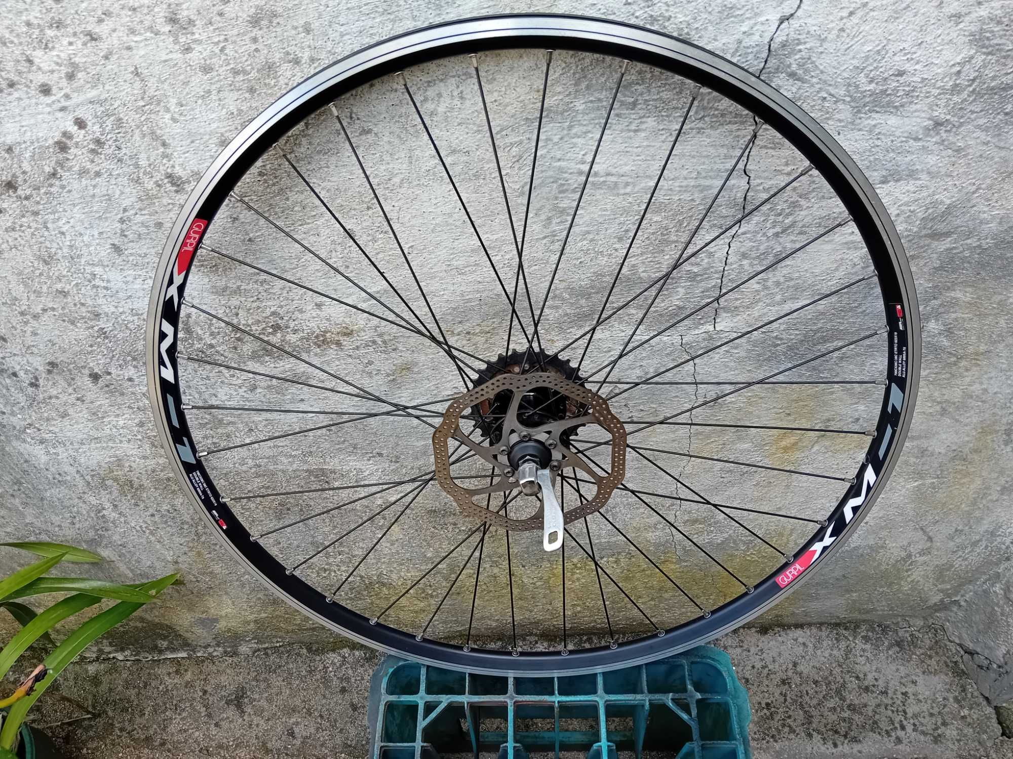 Roda traseira 29