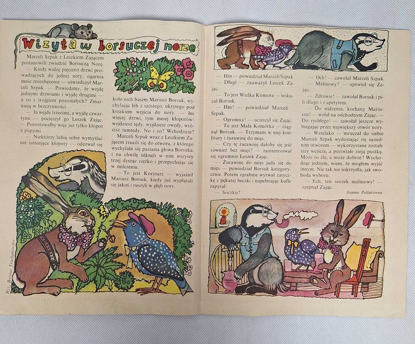 Świerszczyk Tygodnik dla młodszych dzieci Nr 33 (1444) 12 VIII 1973