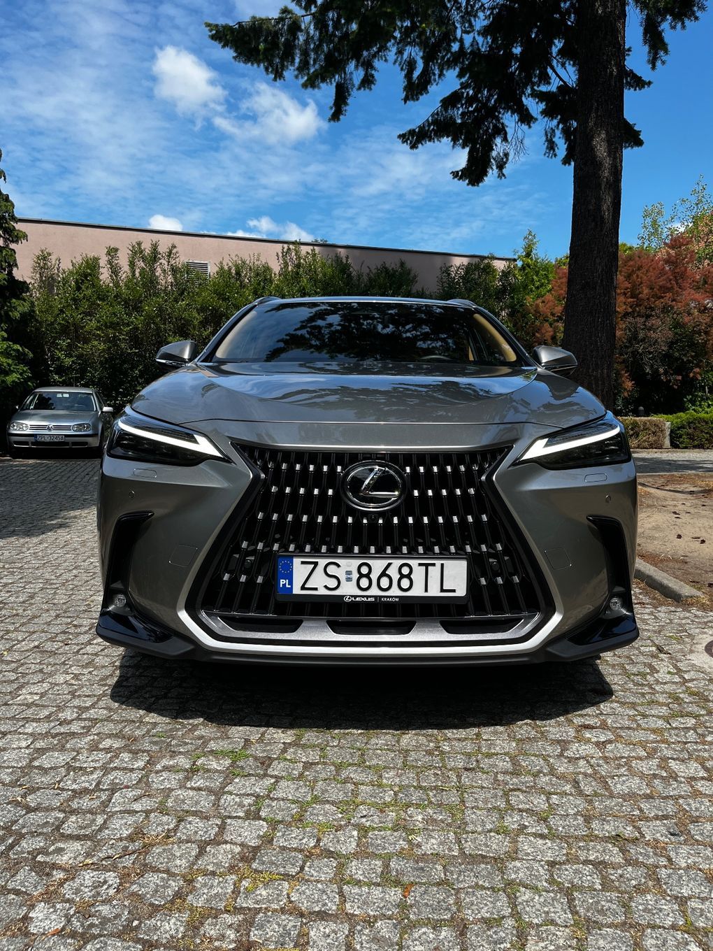 Lexus NX Lexus NX350h - Omotenashi - najwyższa wersja - Rok modelowy 25
