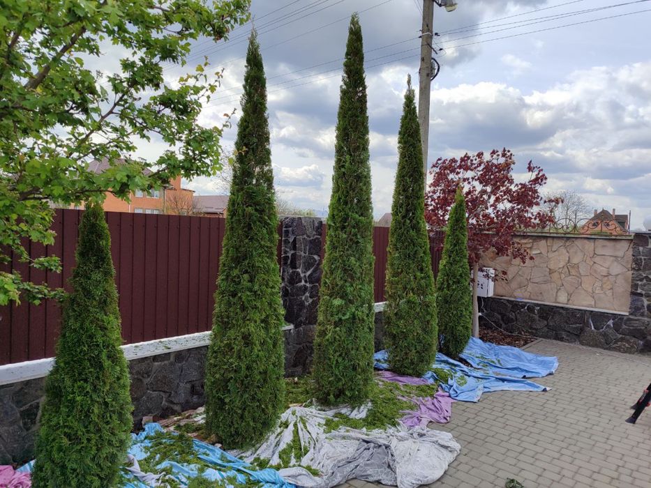 Професійний догляд за садом та ландшафтні роботи під ключ.