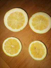 Limões biológico
