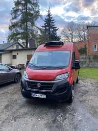 Fiat Ducato  chlodnia